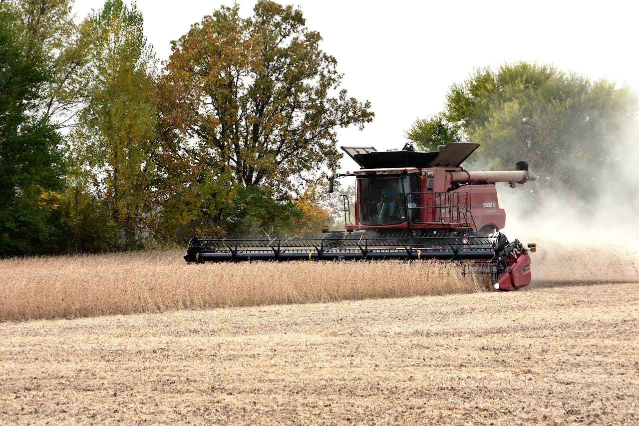 A red combine harvester operating in a soybean field during the fall harvest in Crete, Illinois.